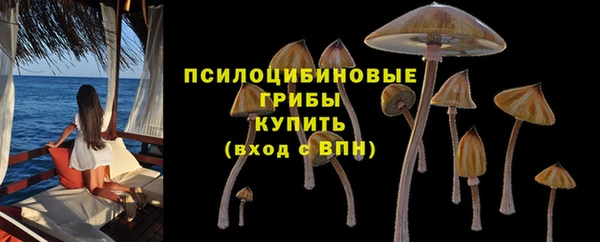 круглые Белокуриха
