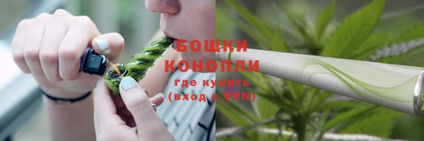 круглые Белокуриха