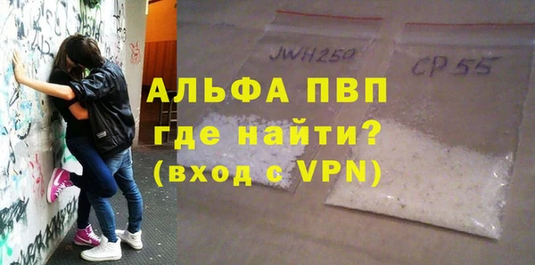 сатива Беломорск