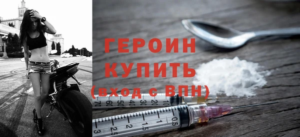 сатива Беломорск