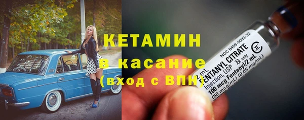 сатива Беломорск