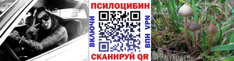 Галлюциногенные грибы Magic Shrooms  наркотики  мориарти клад  Красноперекопск 